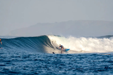 The Starboard Spice is Heating Things Up in Indo 🔥