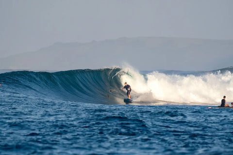 The Starboard Spice is Heating Things Up in Indo 🔥
