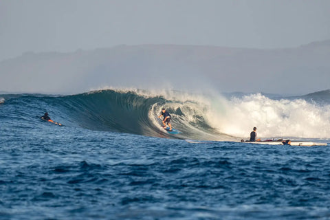 The Starboard Spice is Heating Things Up in Indo 🔥