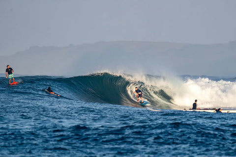 The Starboard Spice is Heating Things Up in Indo 🔥