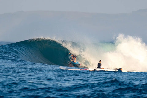 The Starboard Spice is Heating Things Up in Indo 🔥