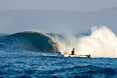The Starboard Spice is Heating Things Up in Indo 🔥