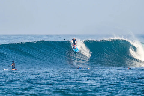 The Starboard Spice is Heating Things Up in Indo 🔥