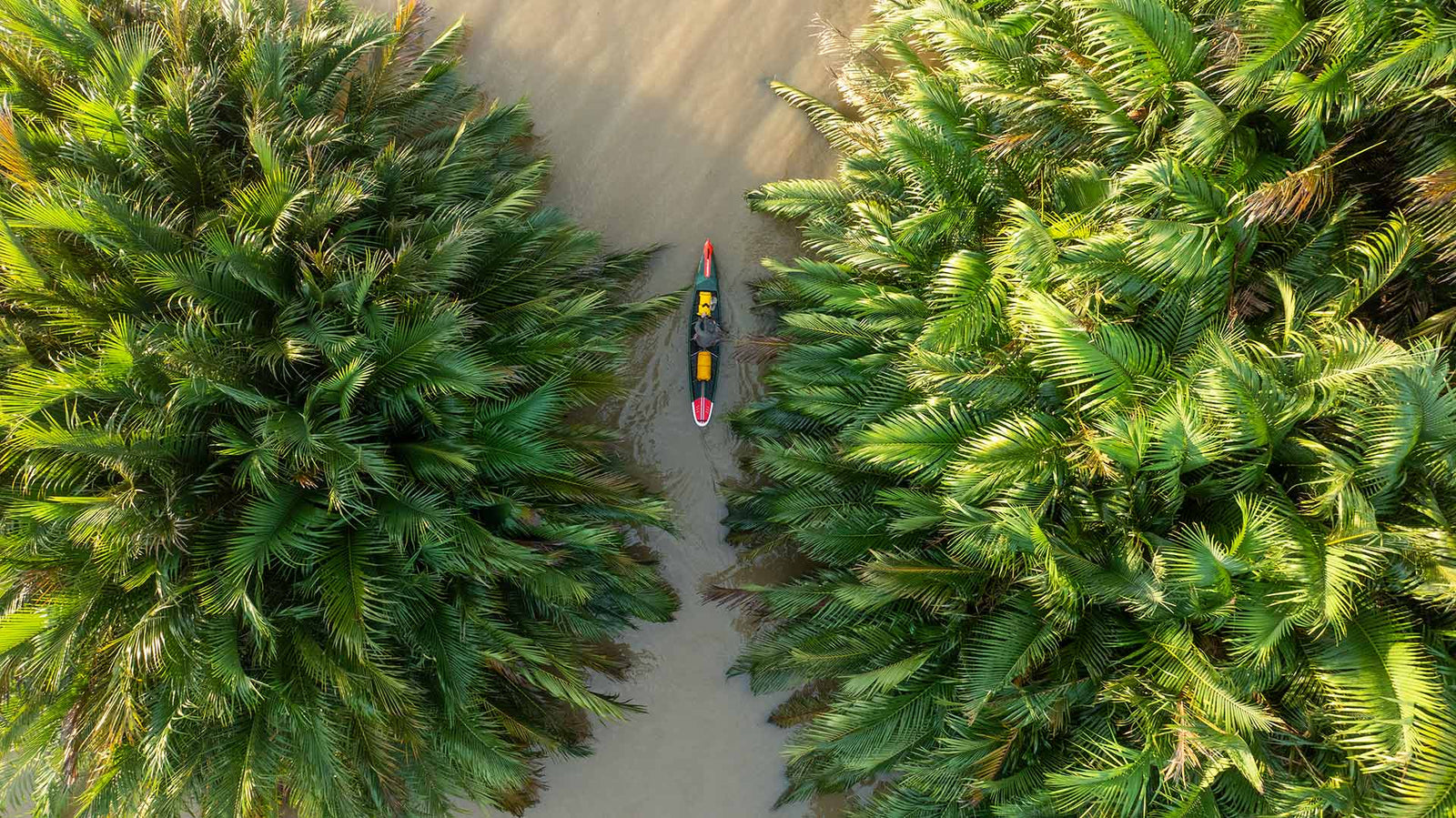 Roamer Paddleboard